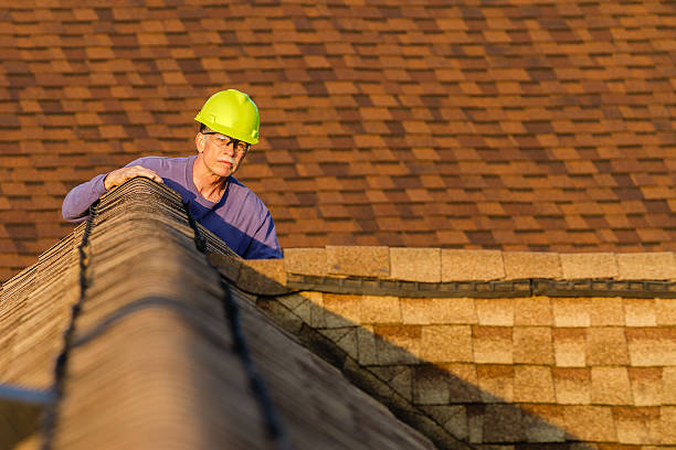 Best Roof Gutter Cleaning  in Seven Points, TX